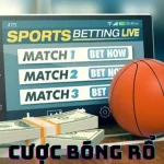 cuoc-bong-ro