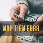 Gửi Tiền FB88 Chỉ Với 3 Bước Để Nhanh Chóng Có Vốn Cược
