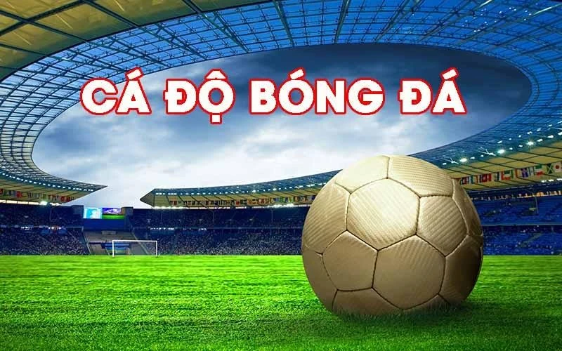 Cá độ bóng đá là gì?